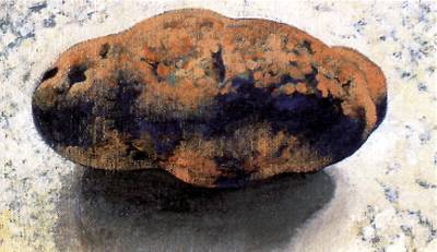 Cueco, "la pomme de terre n°2